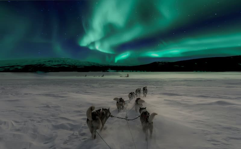 dog sledding in Sweden under the northern lights