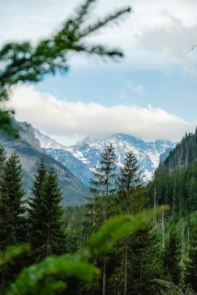 Tatras Mountains view