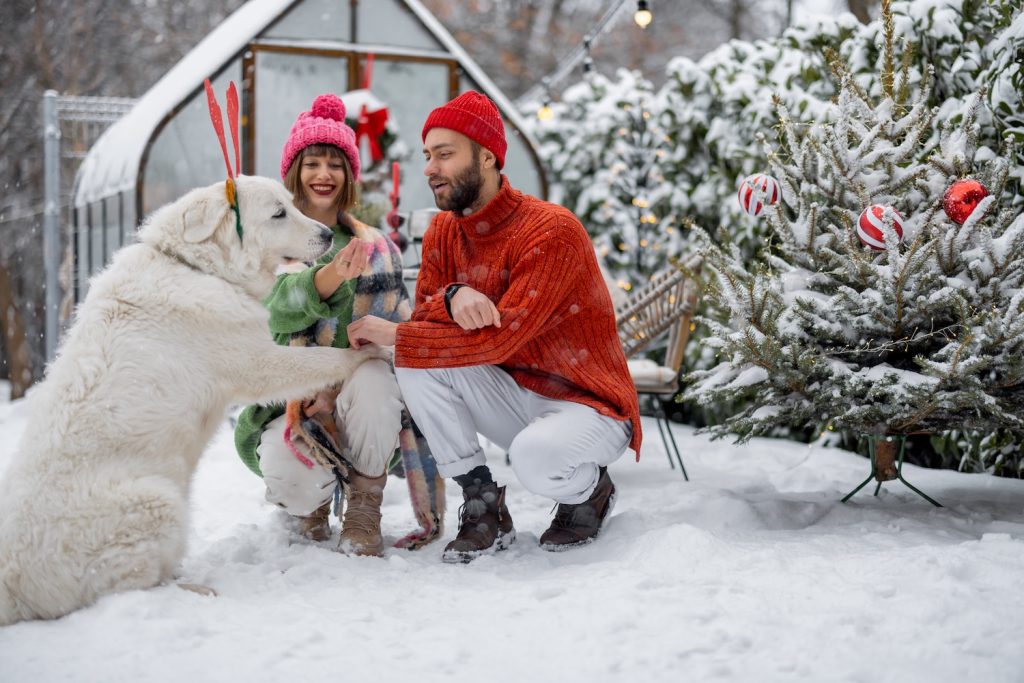 Young couple petting a dog with christmas tree behind them on our Holiday Tour in Lapland