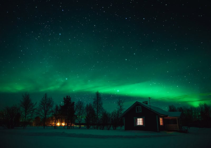Aurora borealis shining over snow-covered pine trees in Lapland, Finland
