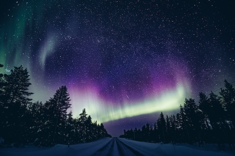 Purple and green northern lights over a winter road lined with trees, a low-cost way to chase the aurora