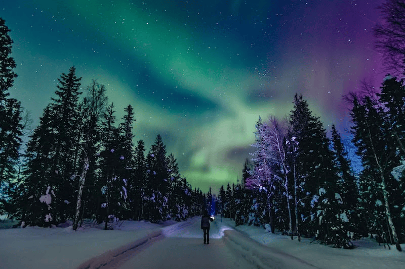 Person on snowy road under vibrant aurora borealis with tall trees on both sides.