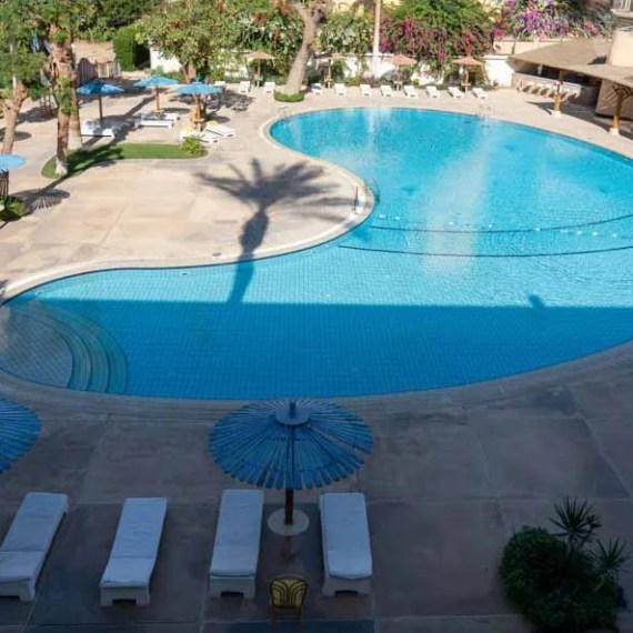 Aerial view of a bean-shaped swimming pool with lounge chairs and umbrellas on a sunny day.