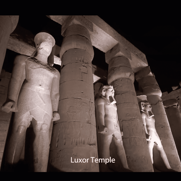 Statues and columns at Luxor Temple, illuminated at night.