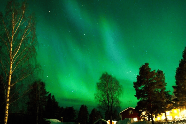Green aurora borealis over trees and houses at night.