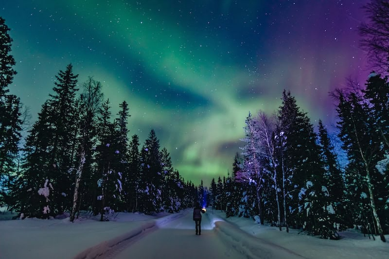 Person on snowy road under vibrant aurora borealis with tall trees on both sides.