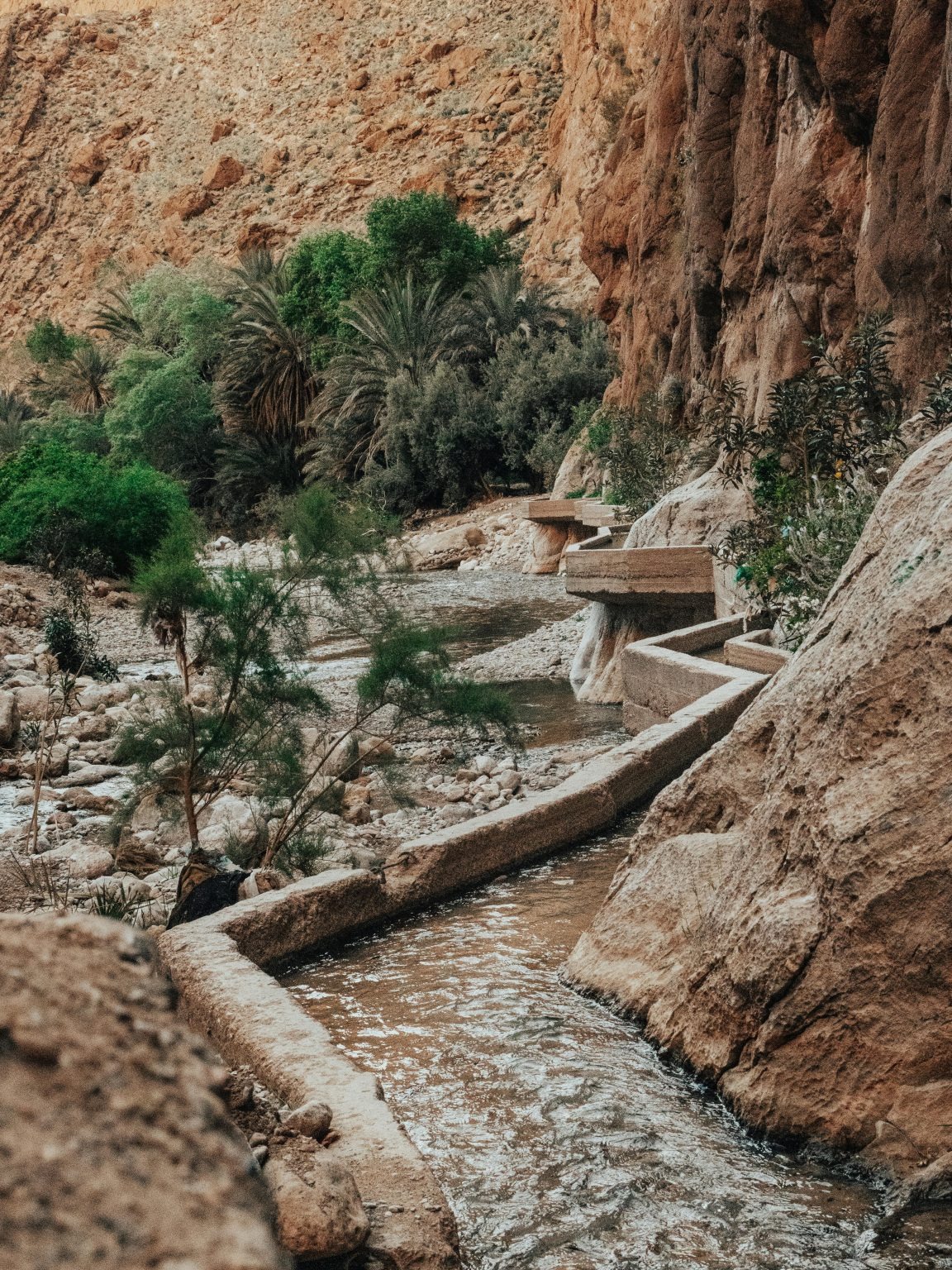 Tinghir Oasis Tour